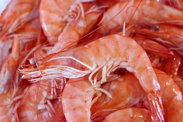 farm-raised shrimp
